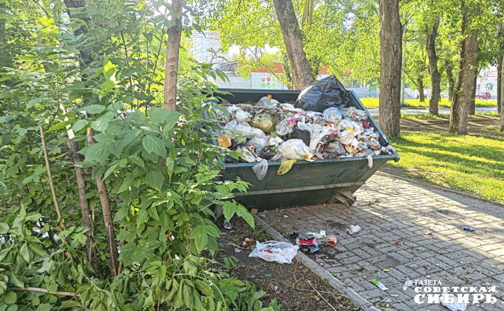 Напомним, что в 2025 году две тысячи контейнеров для мусора закупят на средства областного бюджета, а также оборудуют 170 контейнерных площадок. Фото: архив ИД «Советская Сибирь»
