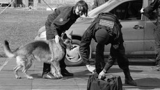 Фото Натальи МАНТОРОВОЙ