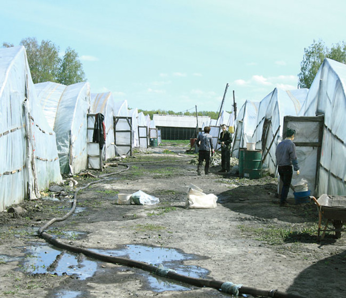 Фото Светланы СЫСОЕВОЙ