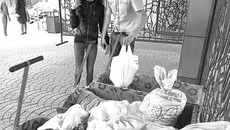 По итогам прошлогодней акции овощных даров Новосибирскому зоопарку хватило до середины января. Фото Аркадия УВАРОВА