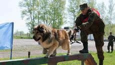 Фото предоставлено пресс-службой ЦВО