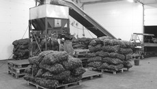 В современных картофельных закромах всеми процессами руководит электроника. Фото Татьяны РЕШКЕ