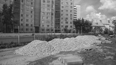 Фото Никиты ДАВЫДЕНКО