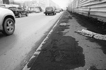 Фото Алексея ТАНЮШИНА