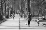 Фото Алексея ТАНЮШИНА