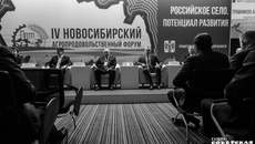 Фото Алексея ТАНЮШИНА