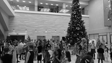 Фото Эльвиры НОВИКОВОЙ