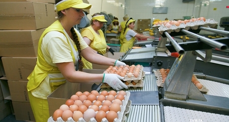 Фото из архива ИД «Советская Сибирь»