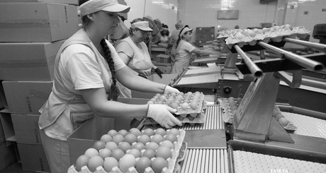 Фото из архива ИД «Советская Сибирь»