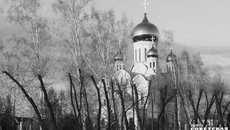 Фото Алексея ТАНЮШИНА