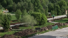 Фото Алексея ТАНЮШИНА