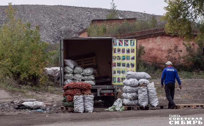 Вот так на Малыгина спокойно, без всяких разрешений располагались торговцы овощами и фруктами. С их «коллегами» на центральных улицах борьба всегда идет бойко. На окраинах же, не только в Ленинском районе, нелегалы не боятся никого и ничего. Фото Алексея ТАНЮШИНА