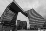 Фото Алексея ТАНЮШИНА