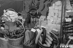 Фото Алексея ТАНЮШИНА