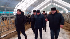 Фото с сайта mcx.nso.ru