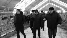 Фото с сайта mcx.nso.ru