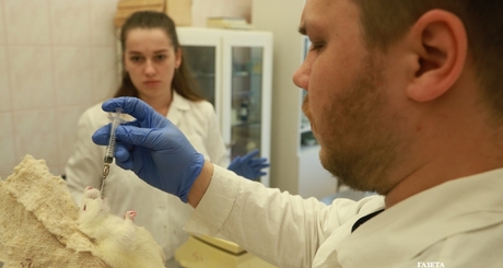 Все разработки лаборатории фармакологических исследований НИОХ СО РАН проходят несколько стадий испытаний, одна из которых тестирование на лабораторных животных. Фото: Алексей Танюшин