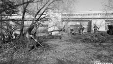 Фото: архив ИД «Советская Сибирь»