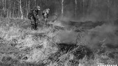 Фото: архив ИД «Советская Сибирь»