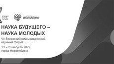 Скриншот сайта https://sfy-conf.ru