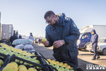 На прилавках аккуратно выложены южные дары природы — персики, абрикосы, яблоки и груши. Плоды соблазнительно демонстрируют покупателю свои румяные бока, на каждом из которых, кажется, светится лучик солнца. Из глубины кузовов кажут свои полосатые округлости сладкие арбузы. Фото Андрея Заржецкого