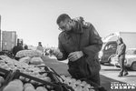 На прилавках аккуратно выложены южные дары природы — персики, абрикосы, яблоки и груши. Плоды соблазнительно демонстрируют покупателю свои румяные бока, на каждом из которых, кажется, светится лучик солнца. Из глубины кузовов кажут свои полосатые округлости сладкие арбузы. Фото Андрея Заржецкого