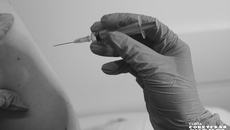 Планируйте вакцинацию так, чтобы получить вторую прививку за две недели до предполагаемой встречи с клещом. При экстренной вакцинации для формирования иммунитета нужно 21–28 дней, а при стандартной — не менее 45. Фото: Андрей Заржецкий