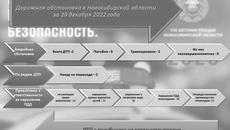 Для примера: только 29 декабря 2022 года в Новосибирской области произошло две аварии, и обе были связаны с наездами на пешеходов. Фото: vk.com