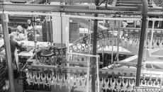 Ново-Барышевская птице-
фабрика — одна из крупнейших репродукторов мясных и яичных кур за Уралом. Здесь используются современные технологии организации производства. /Фото: Андрей Заржецкий