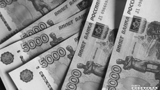 Материально-техническую базу аграрный сектор Новосибирской области успел нарастить, в том числе за счет использования мер государственной поддержки. Фото: Андрей Заржецкий