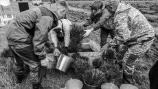 Десять тысяч саженцев сосны близ села Сурково Тогучинского района высадили в рамках акции «Сохраним лес вместе», организатором которой выступила межрегиональная экологическая общественная организация «ЭКА» при поддержке министерства природных ресурсов и экологии региона. Фото: mpr.nso.ru