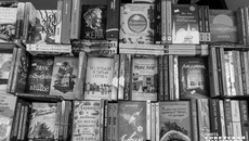 Книги на любой вкус и возраст можно было найти на «Книжной Сибири». Кроме того, гостям были доступны мастер-классы, презентации редких изданий и творческие встречи. Фото: Андрей Заржецкий