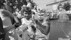 Вот и смотришь то на птиц, то на поросят, а теперь вот и на обезьян с опаской — кто знает, носителем каких опасных зоонозных вирусов может стать эта милая животинка? Фото: архив ИД «Советская Сибирь»