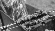 Сегодня, чтобы насладиться ароматным шашлыком, надо вырастить бычка или хрюшку. А завтра, возможно, кусок сочной вырезки можно будет напечатать на принтере. Фото: Андрей Заржецкий