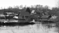 Фото: архив ИД «Советская Сибирь»