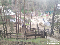 Конный приют с терапевтическим эффектом