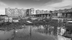 Это болотце с лягушками расположено на месте, где по концессии должна быть возведена четырехэтажная школа на 1100 мест по улице Спортивной. Строило ее ООО СК «Столица Приволжья». Теперь, по всей видимости, все конструкции придется снести — они не соответствуют ПСД. Фото: Андрей Заржецкий