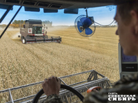 Сибирь — житница России