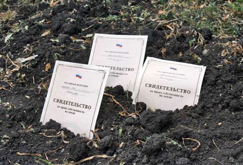 оформление земли в собственность курск редких