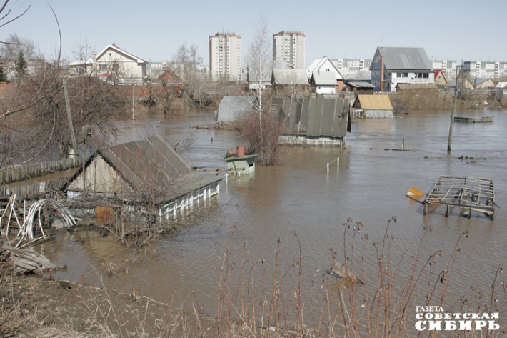 Фото: архив ИД «Советская Сибирь»