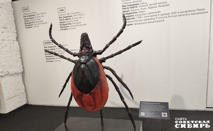 Клещ размером с подростка которого показывали на выставке, может напугать любого. Фото: Светлана Фролова