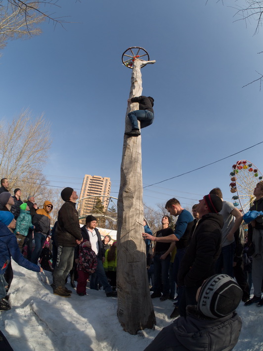 P3131869.jpg