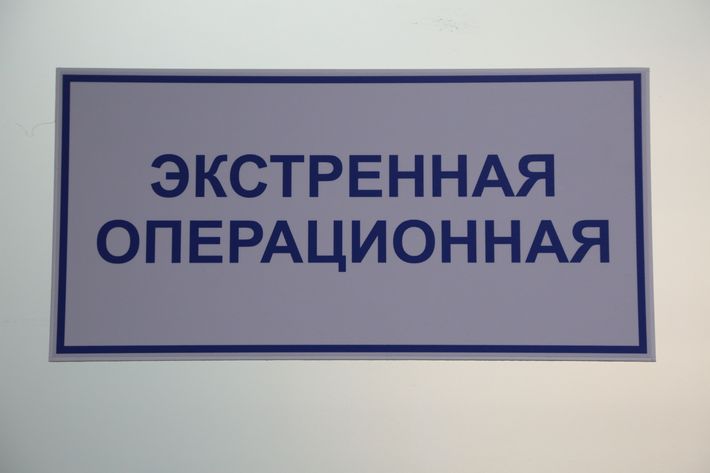 D01A8428.JPG