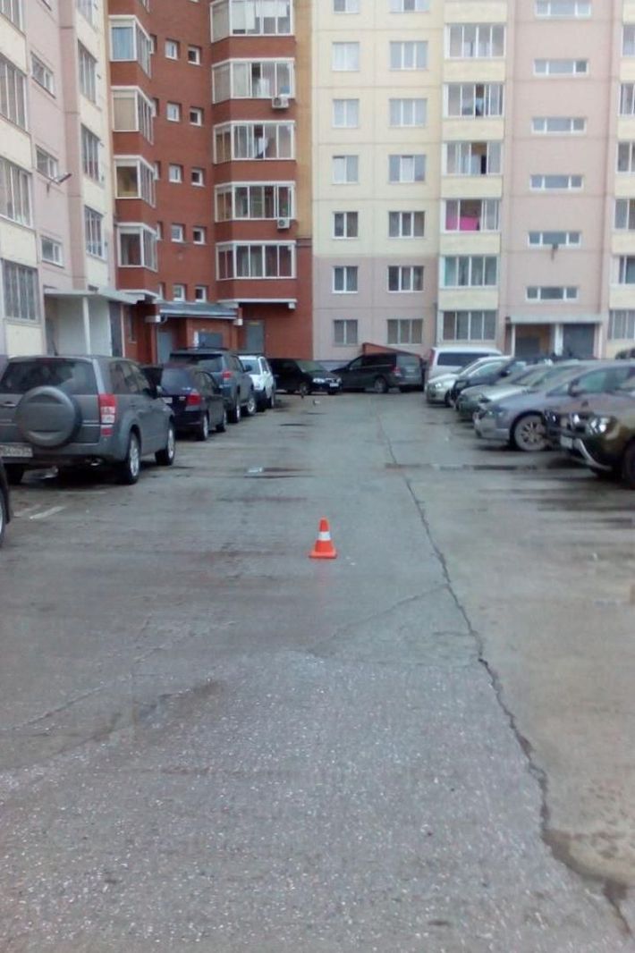 Тюленина.jpg