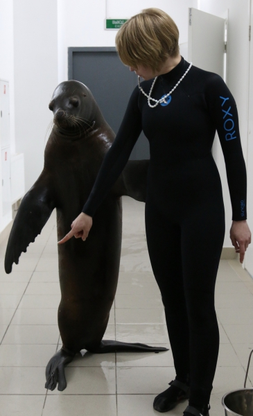 887.jpg