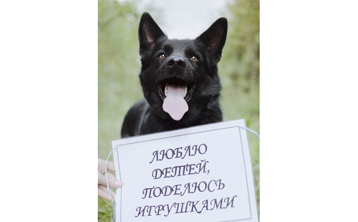 Фото Владиславы ЖИВАЕВОЙ