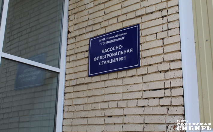 Фото Светланы ФРОЛОВОЙ