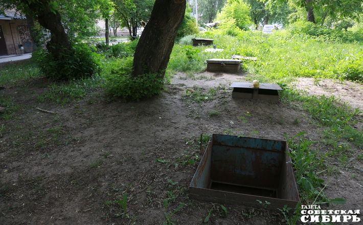 Фото Алексея ТАНЮШИНА