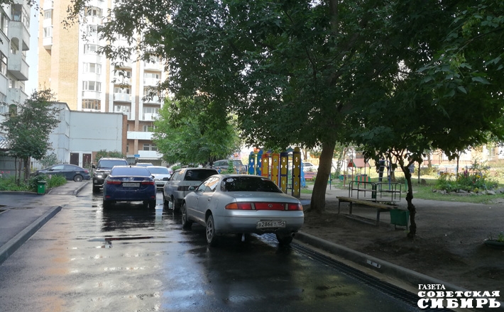 Фото Эльвиры НОВИКОВОЙ