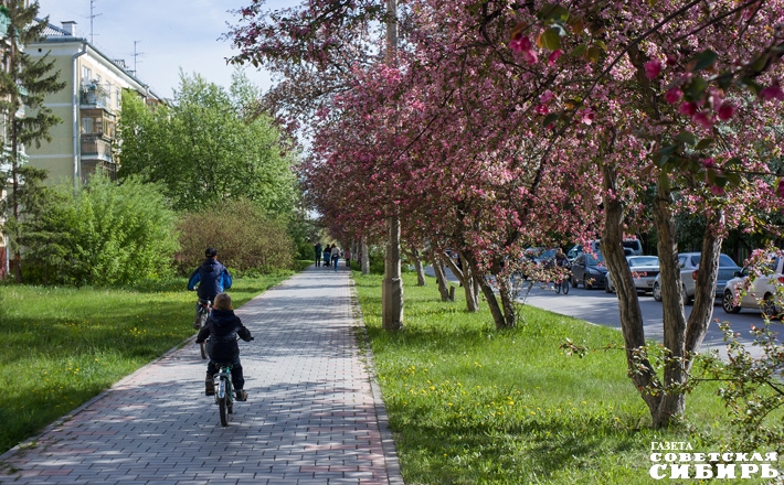 Фото Алексея ТАНЮШИНА
